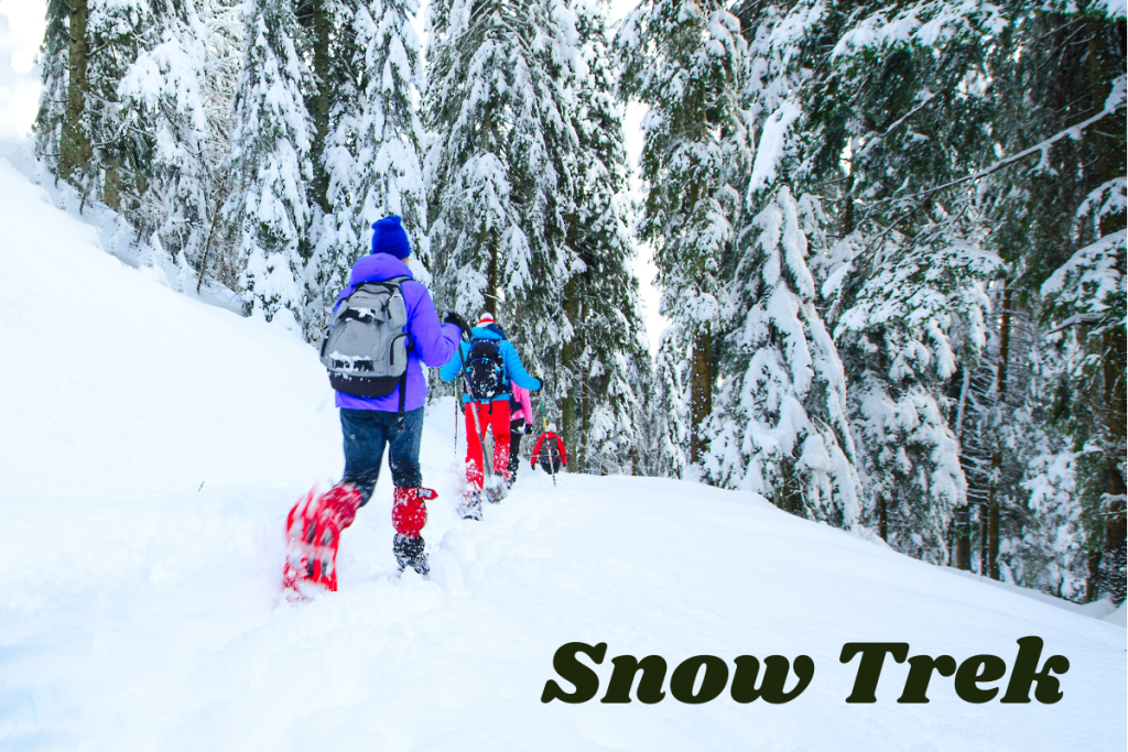 Snow Trek