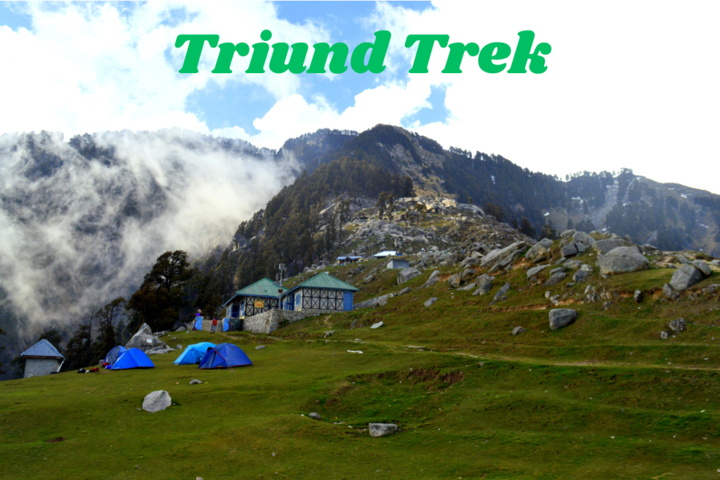 Triund Trek